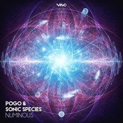 Sonic Species & Pogo - Numinous