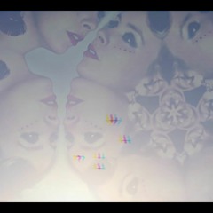 Little Bird - THE MIDNIGHT REVOLUTION