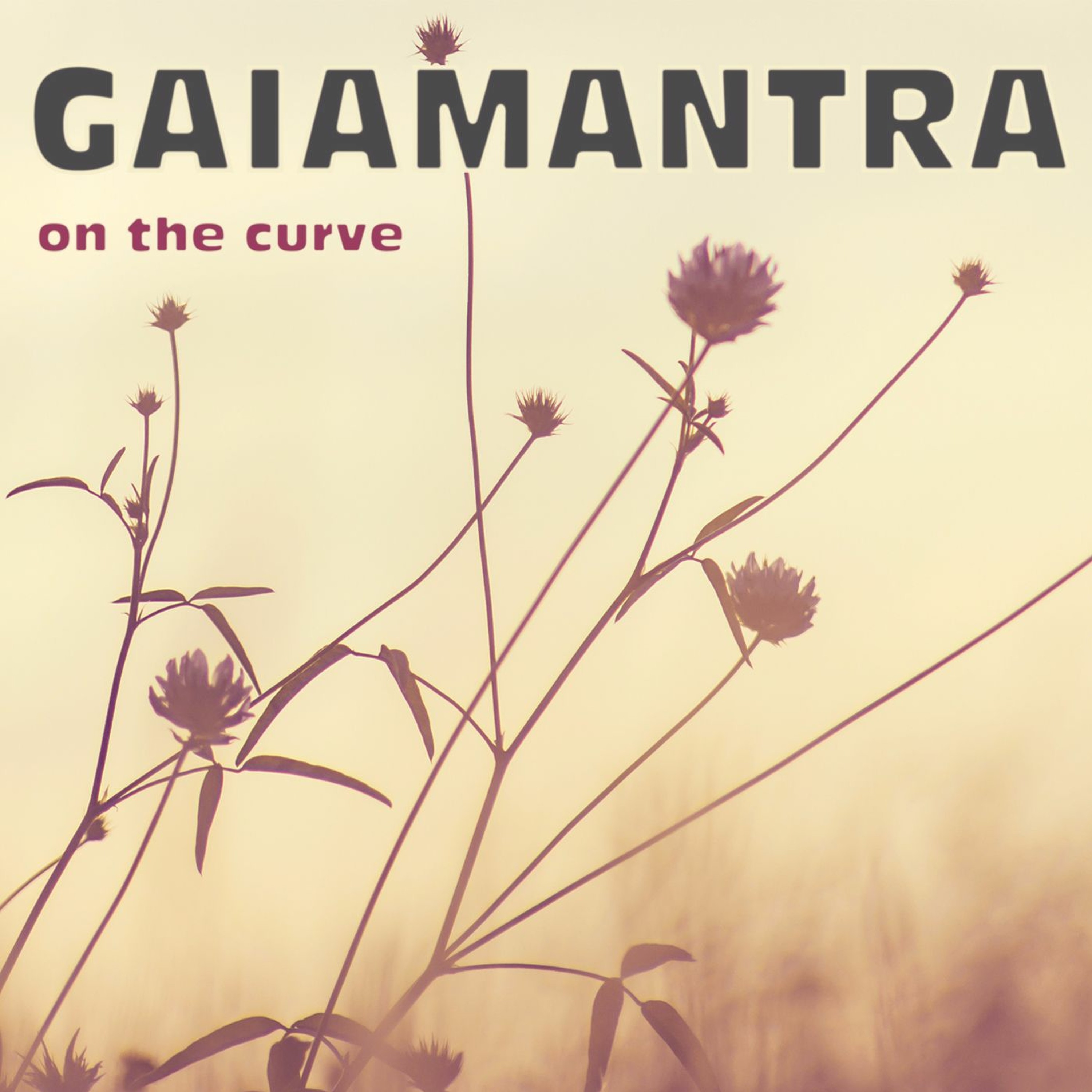 Gaiamantra - 'On The Curve' - medley episode artwork