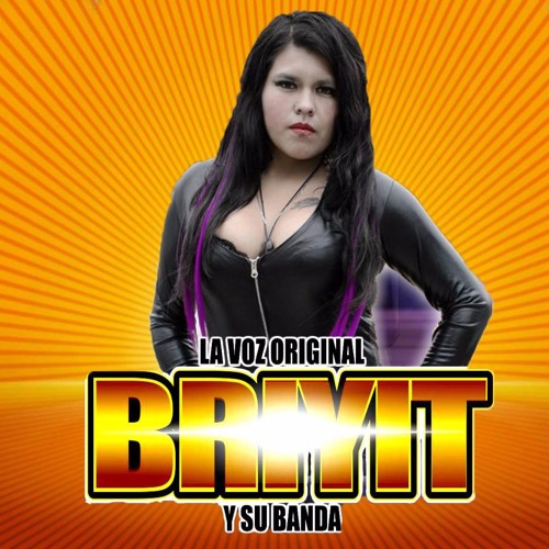 ALGO DE MI -  BRIYIT Y SU BANDA (primicia 2017)