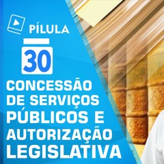 30   Serviços Públicos Delegacao E Autorizacao Legislativa