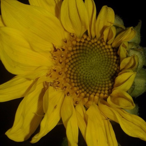 CITY + CHASTIC MESS + PUSH