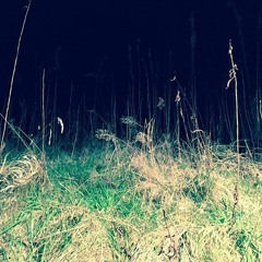 Downtown Lights (The Blue Nile cover)