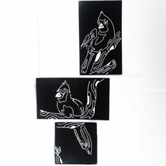 littlebirdie. ft. Seph