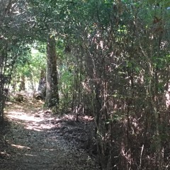 picture books (prod. junyii)