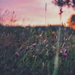 سورة الاسراء أعذب صوت - قرآن -Quran