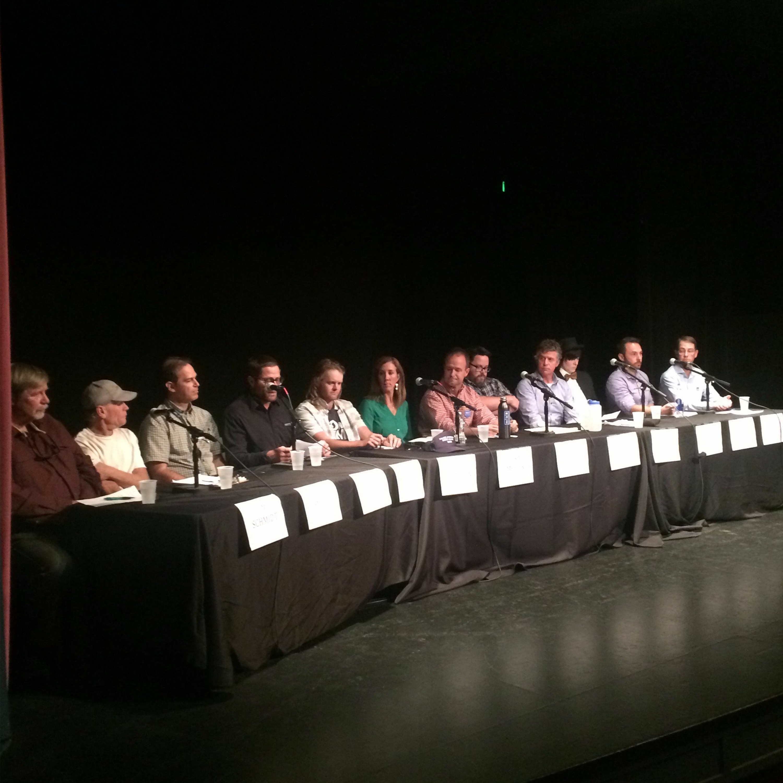 Crested Butte News Candidates Forum - 10-22-17 episode artwork