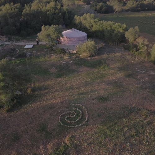 NetaYa Shruti box chanting