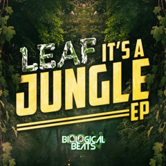 Leaf Feat Bou - Selecta