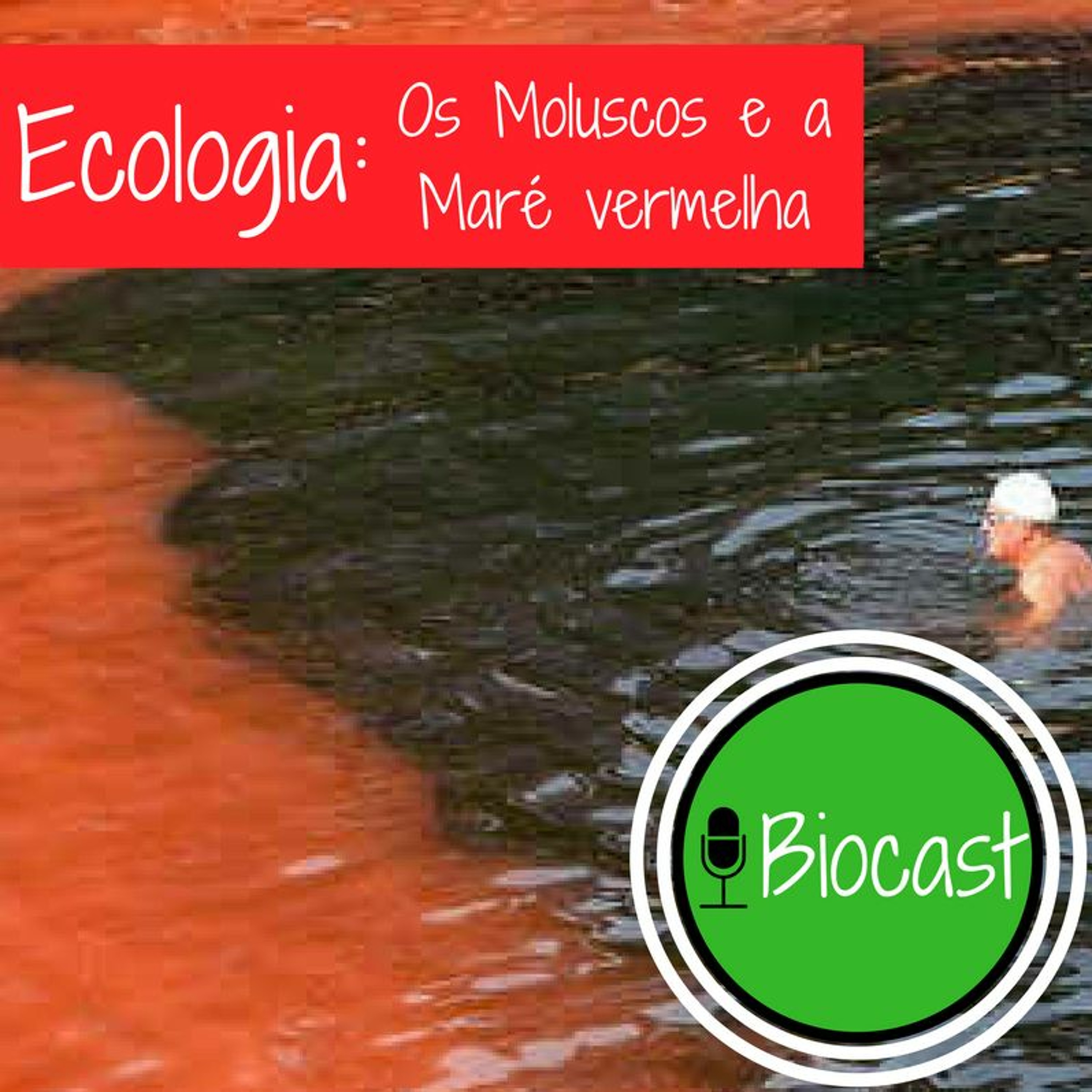 BioCast: Ecologia - Os Moluscos e a Maré Vermelha em Santa Catarina
