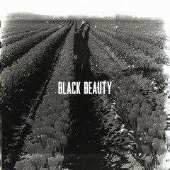 Black Beauty (Krisijan Majic Remix)
