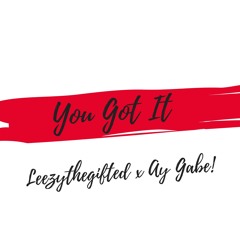 You Got It (Prod. Leezythegifted) ft. Ay Gabe!