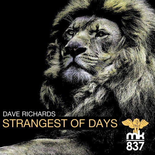 Strangest of Days (Mini LP Preview)