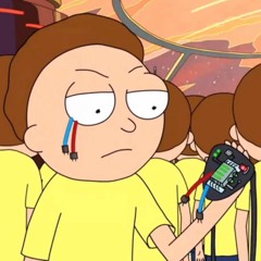 Blonde Redhead - For The Damaged Coda (Evil Morty Theme) [Tek-Mazter's ReMazter]