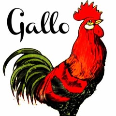 Gallo Rojo Gallo Negro ("Senso Project")