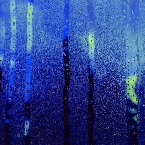 Trappola x charlie too human - [ c o n d e n s a t i o n ]