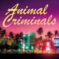 Animal Criminals