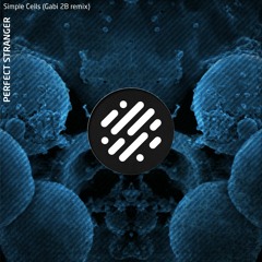 Perfect Stranger - Simple Cells (Gabi 2B Remix)