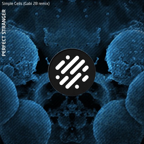 Perfect Stranger - Simple Cells (Gabi 2B Remix)