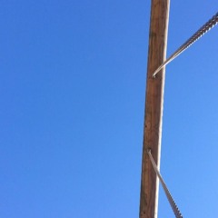 Swing Along