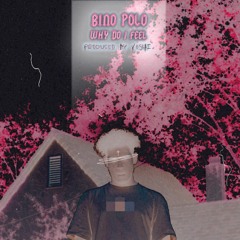 BINOPOLO // WHY DO I FEEL (PROD. YOSHI)
