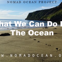 What we can do for the ocean