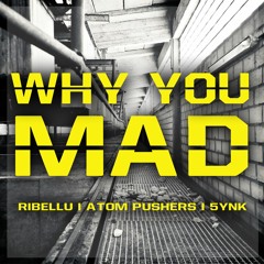 RIBELLU, Atom Pushers & 5ynk - Why You Mad