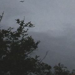 HAROINFATHER (PROD. NOCOLOR) greafer X XXXTENTACION TYPE BEAT (@wefinnadie)