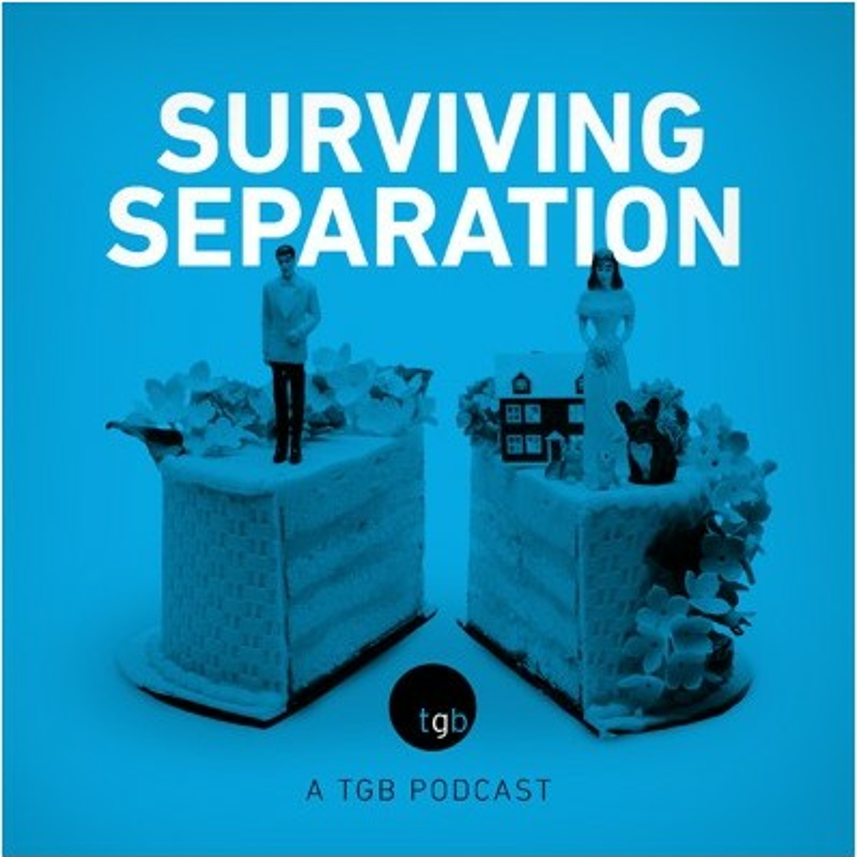 Ep 12: How to Make Divorce Friendlier for You and Your Children