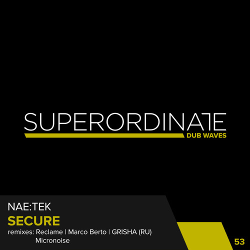 Secure (Micronoise Rmx) [Superordinate Dub Waves]