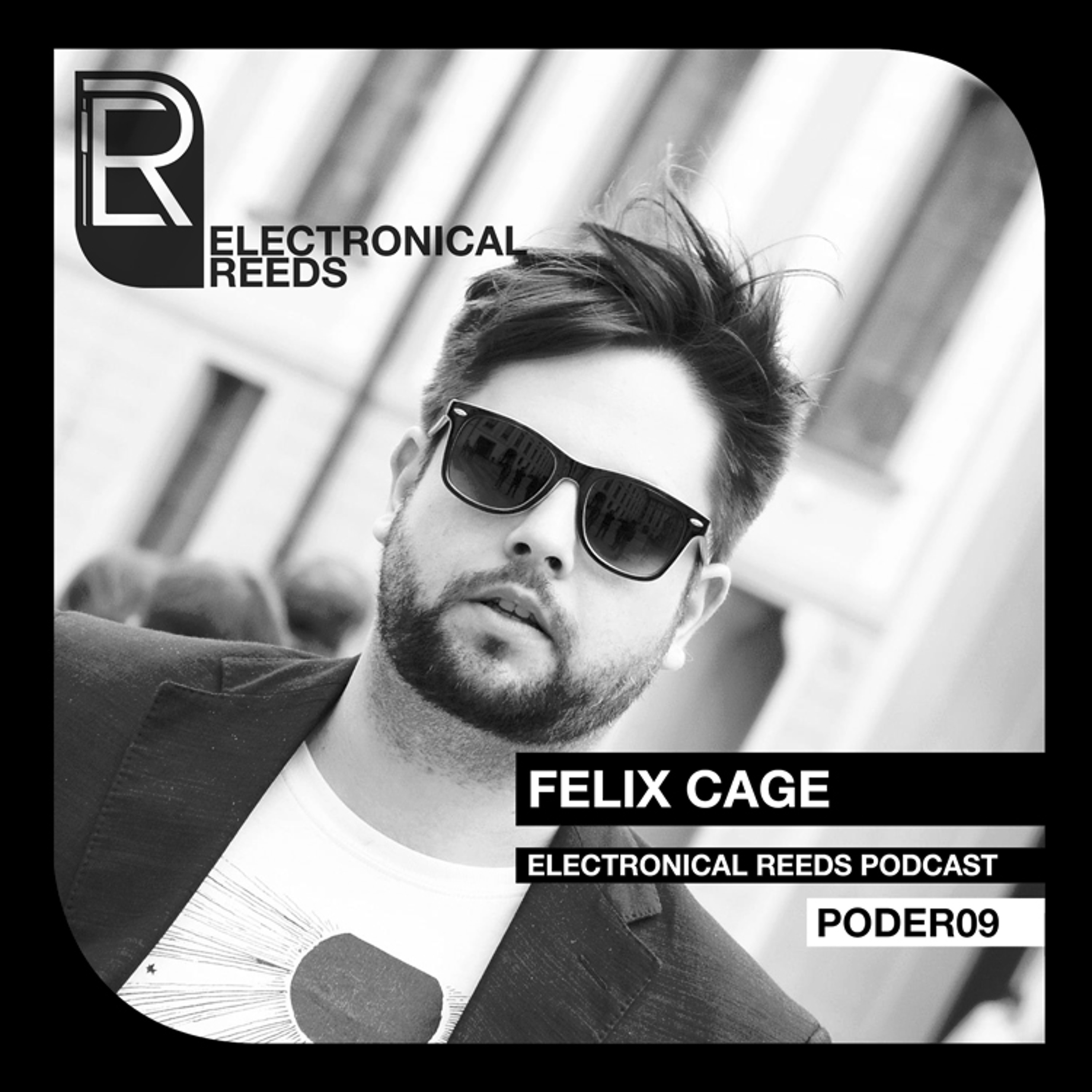 Electronical Reeds