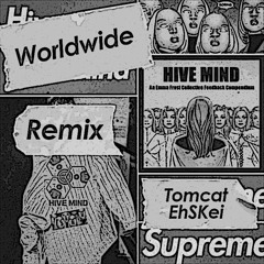 Tomcat - Worldwide (EhSKei Remix)