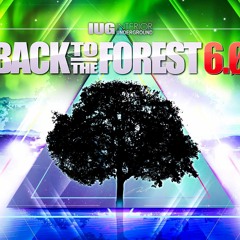 Back to the Forest 6.0