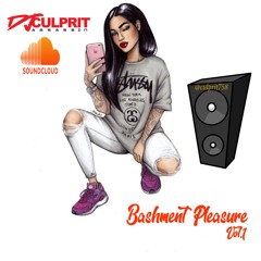 DJ Culprit Assassin - Bashment Pleasure Vol.1