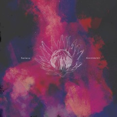 Shimza - Secret Melodies (Cadenza115) [teaser]