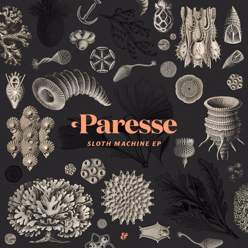 Paresse - Sloth Machine