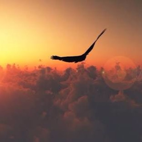 If I could fly