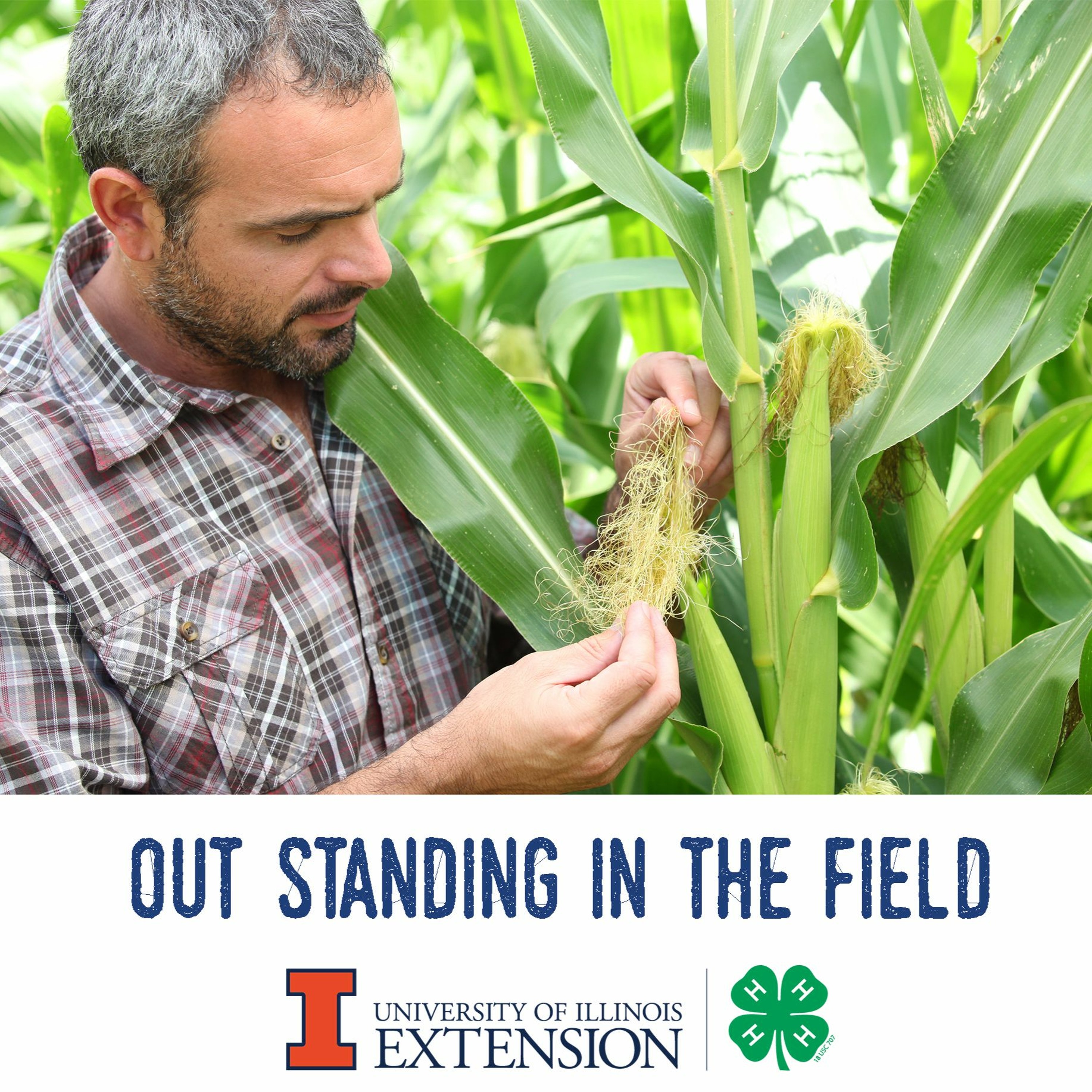 Out Standing in the Field