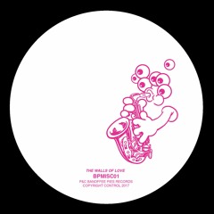 The Walls Of Love - Walls Of Love (BPMISC01) CLIPS