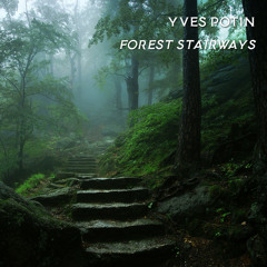 Forest Mist