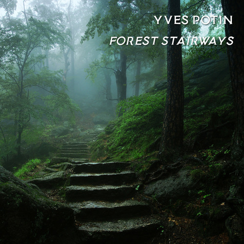 Forest Mist