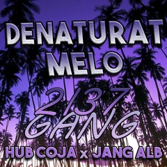 hub coja x jang alb - Denaturat melo