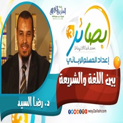 بين اللغة و الشريعة مع د. رضا السيد دورة بصائر 3