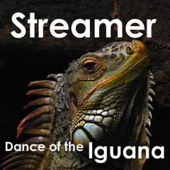 Streamer ft. Rafa Mateos- Dance of the Ijuana (free Download)