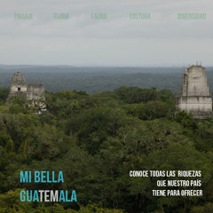 Mi Bella Guatemala Mezcla