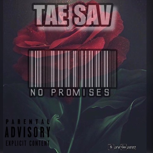 Tae Sav - No Promises