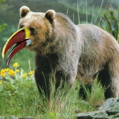 Matthias Myer  Ryan Davis - Hope