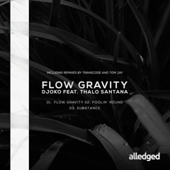 DJOKO & Thalo Santana - Flow Gravity (Original Mix)