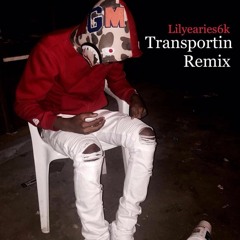Lilyearies6k-Transportin Remix