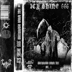 ICY SHINE 666 X DESIXVD - PEOPLE THINK IM CRAZY
